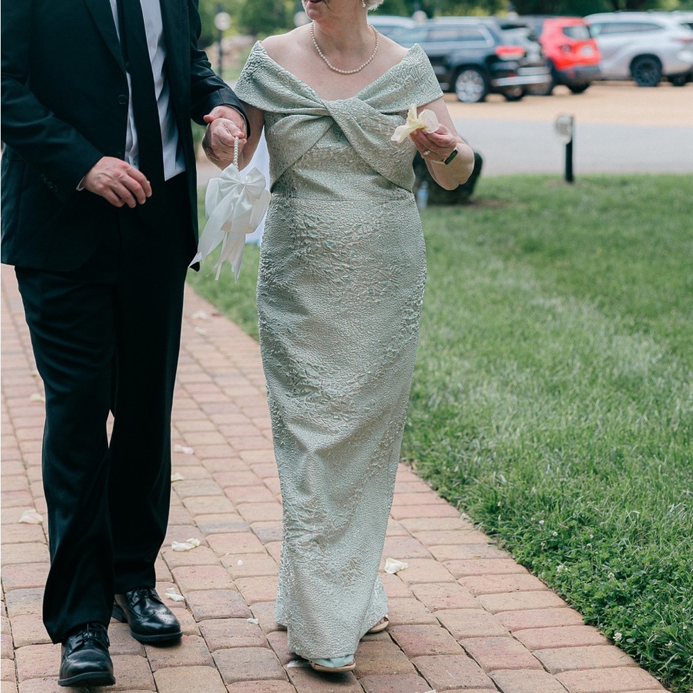 Teri Jon Pastel Green Long Dress